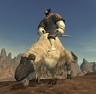 Sheep mount.jpg