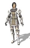 Paladin Relic Armor