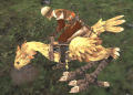 Chocobo mount.png