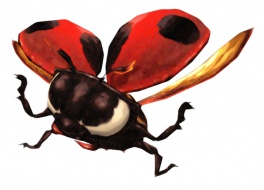 Category-Ladybug.jpg