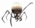 Category-Spider.jpg